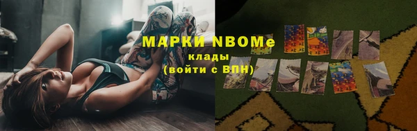 стаф Арсеньев
