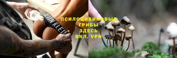 прущий лед Армянск