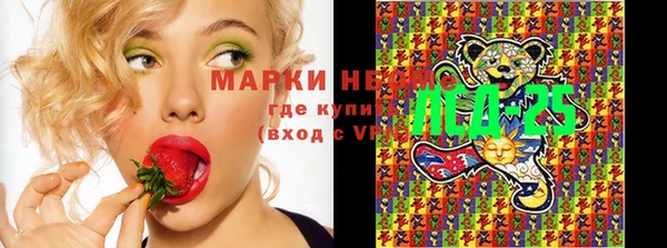 прущий лед Армянск