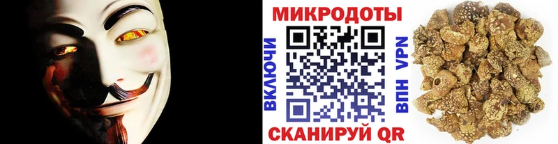 Галлюциногенные грибы Psilocybine cubensis  Купить где  Мончегорск 